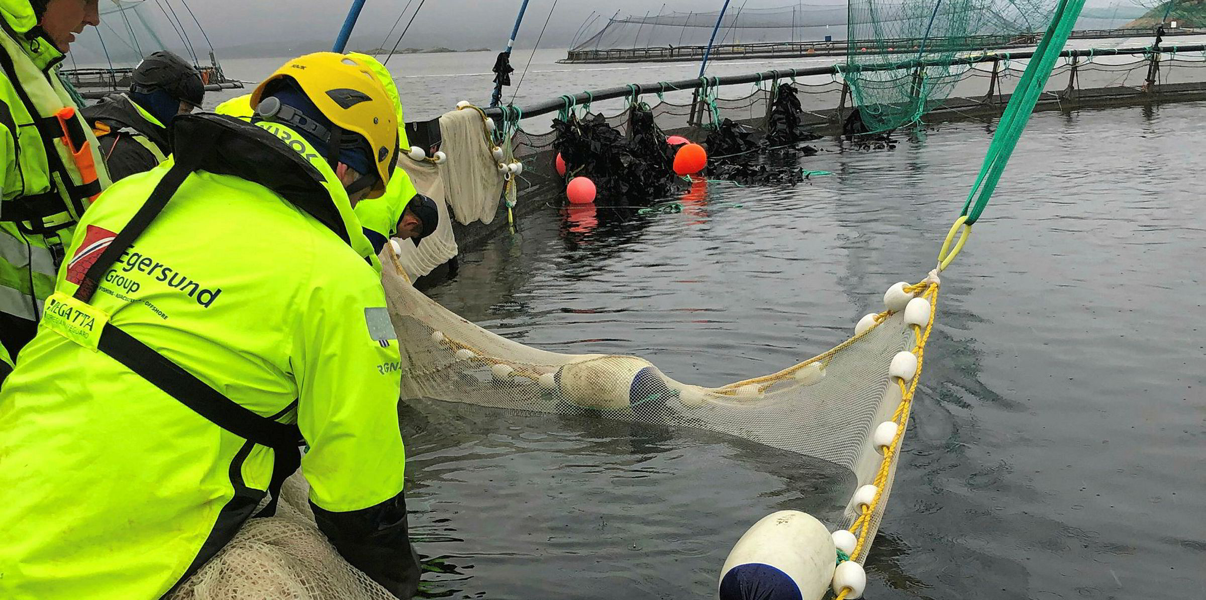 Norwegian aquaculture supplier acquires automatic fish feeding company