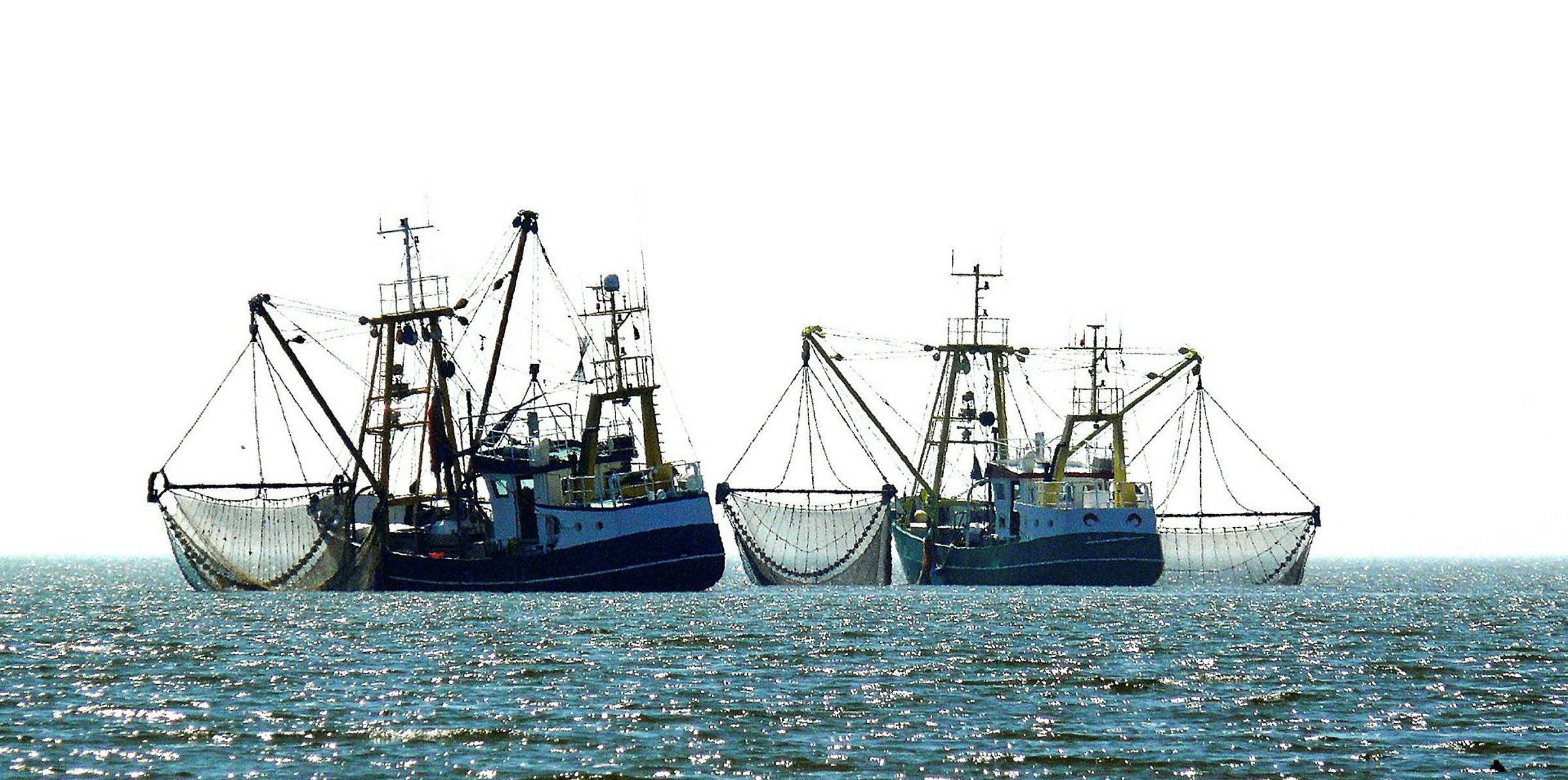 Commercial fishing store