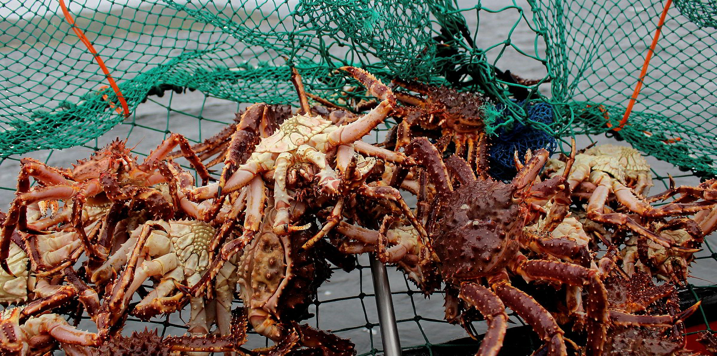 These companies won big in the 2 billion Russia crab quota auction