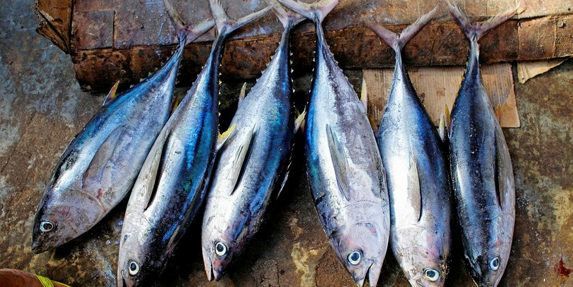 India calls for ownership in Indian Ocean tuna fisheries