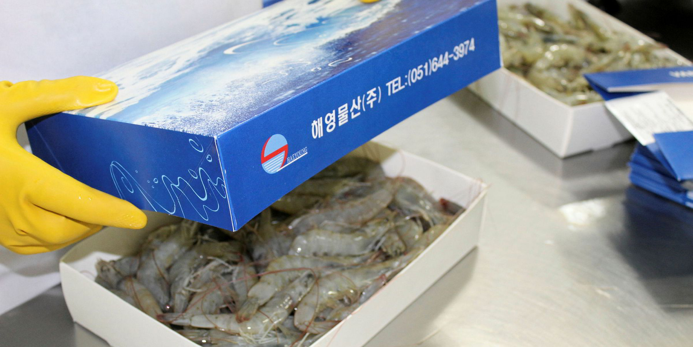 China Crackdown Cutting Off Ecuadorian Shrimp S Vietnamese