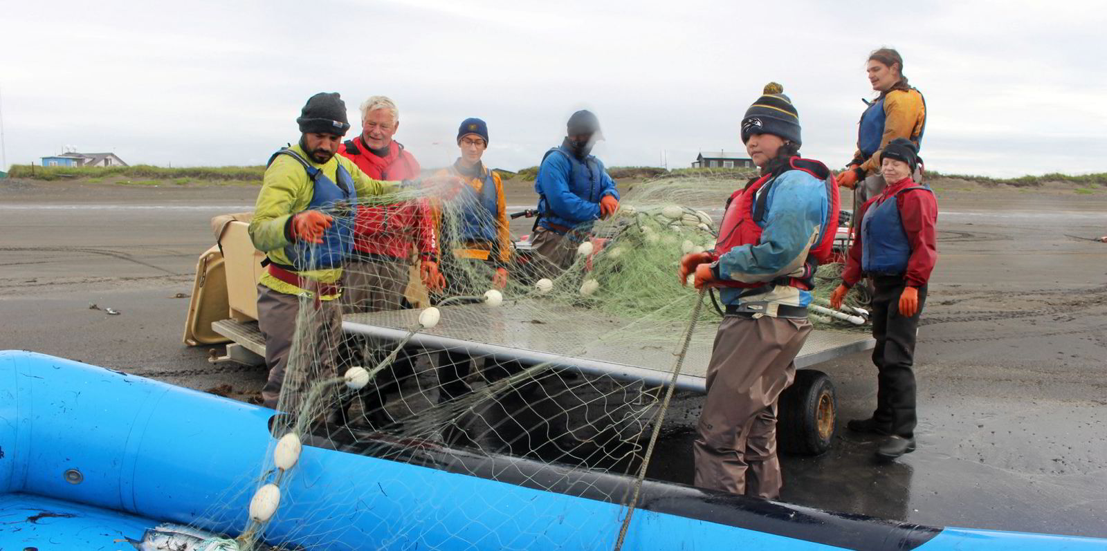 After a record season, Bristol Bay sockeye salmon now has to compete in a  crowded frozen market