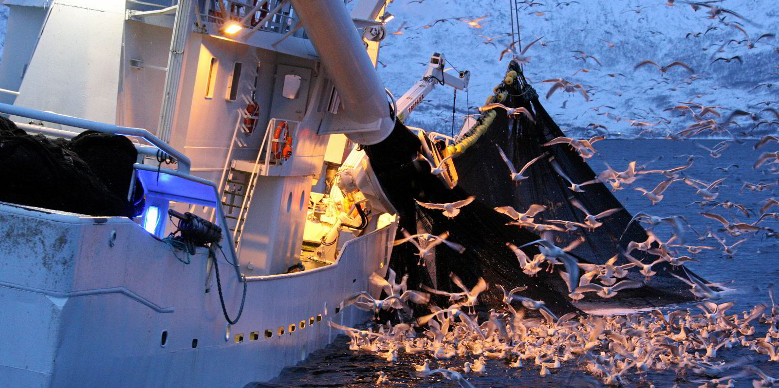 ICES sharp cut to Northeast Atlantic herring quota for 2024