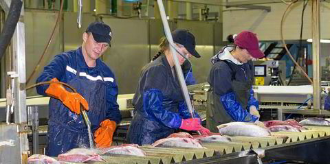 Latest seafood, aquaculture and fisheries news