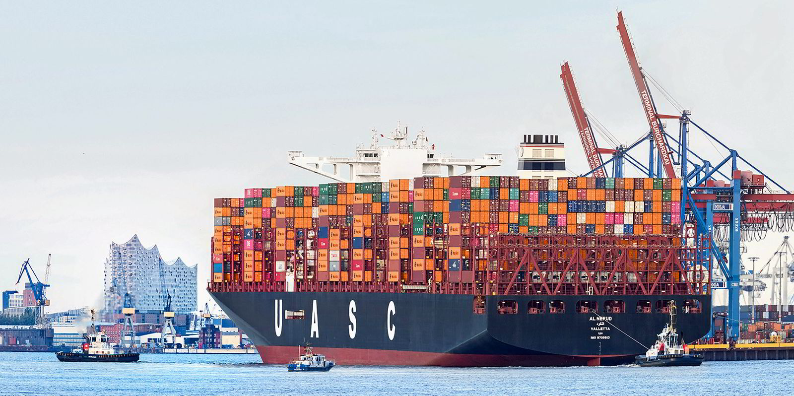 Plunging charter market provides opening for container shipping newbies