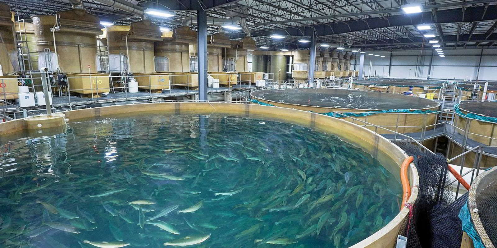 Cost to build new AquaBounty landbased salmon farming operation could