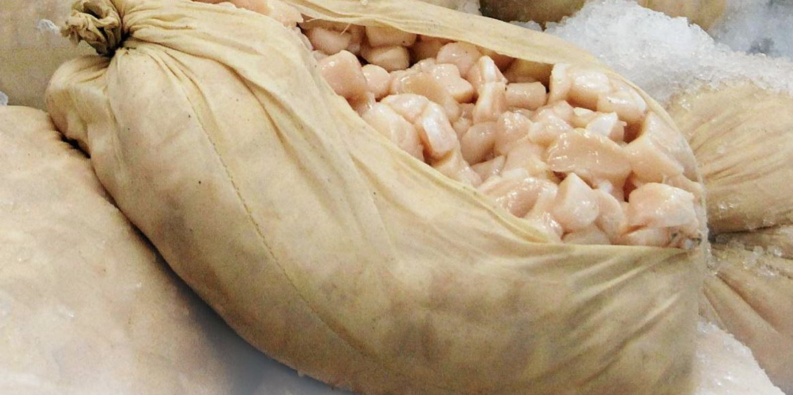 The Days Of Panic Buying Are Over For Scallops On The Us Market Industry Experts Say Intrafish