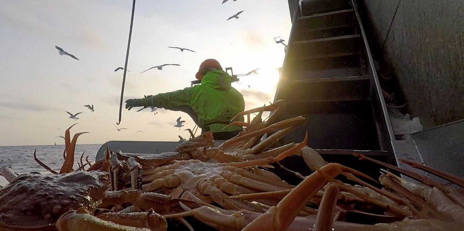 With few alternatives, fears grow that Russia's crab harvesters may suspend  fishing over export bans