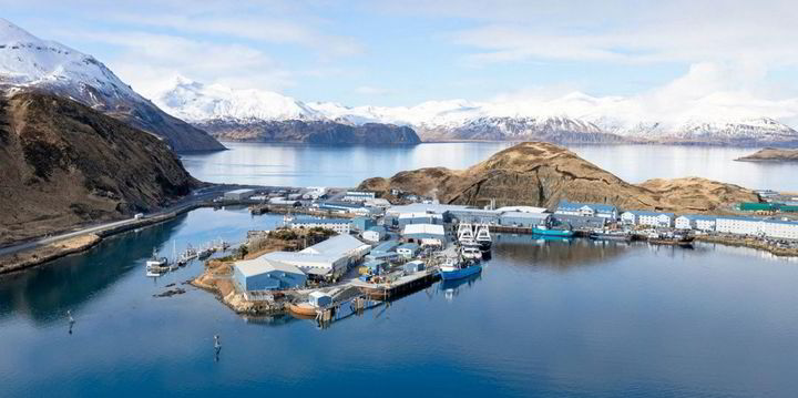 Nissui-owned Alaska pollock producer taps new COO