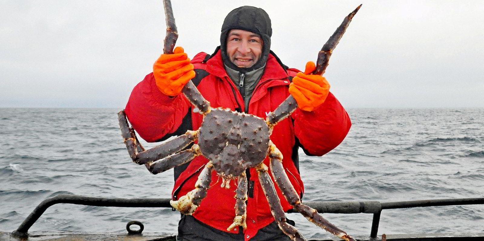 giant crab england