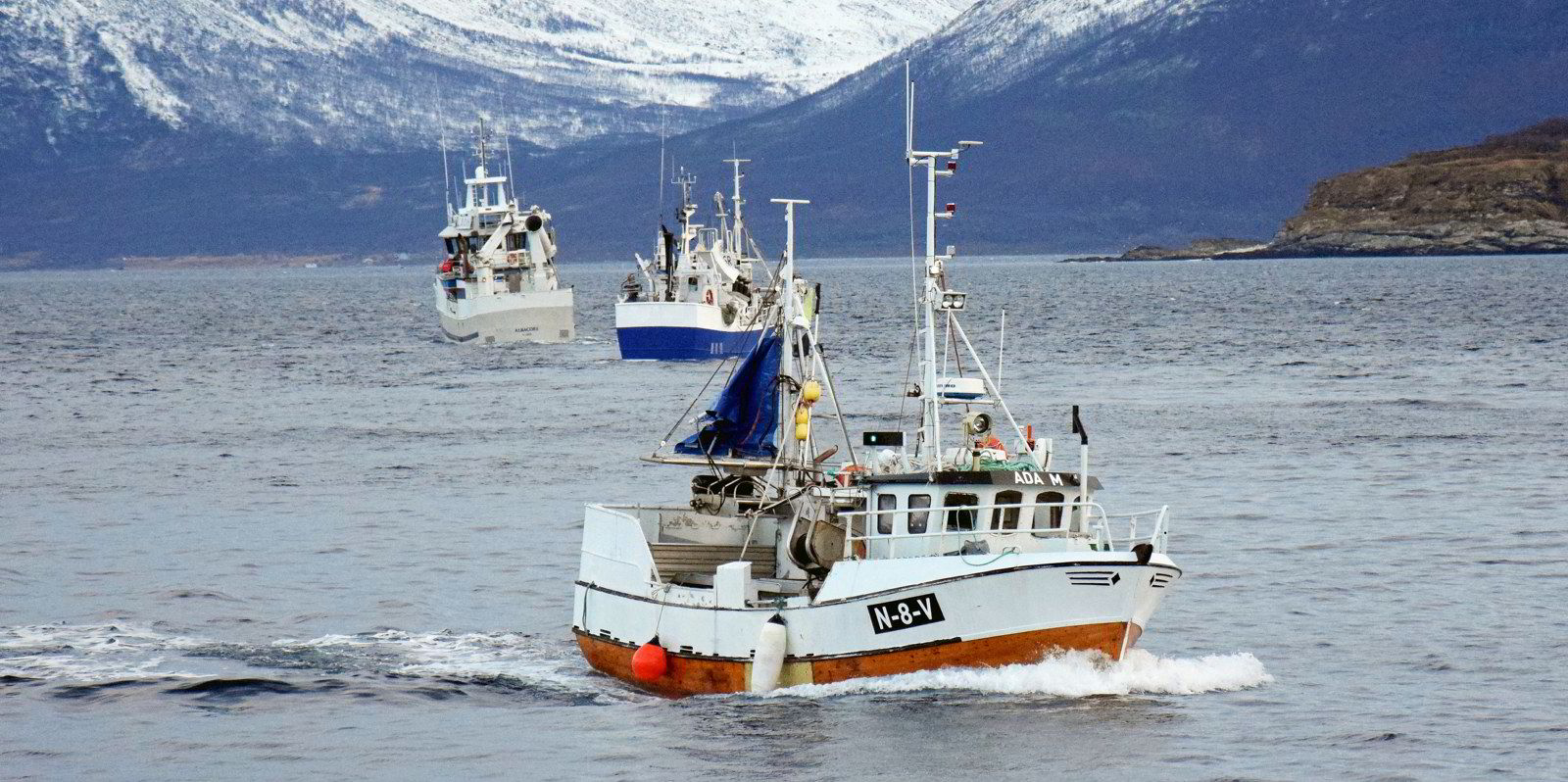 Fiskeridirektoratet om ny gruppeinndeling for pelagisk kyst: - Må