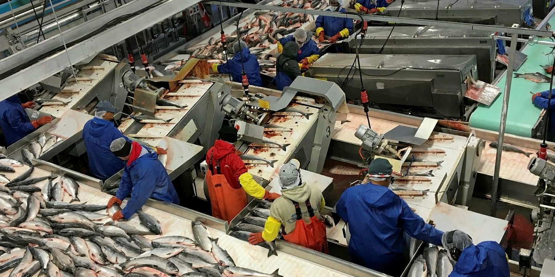 Silver Bay Seafoods names new CEO