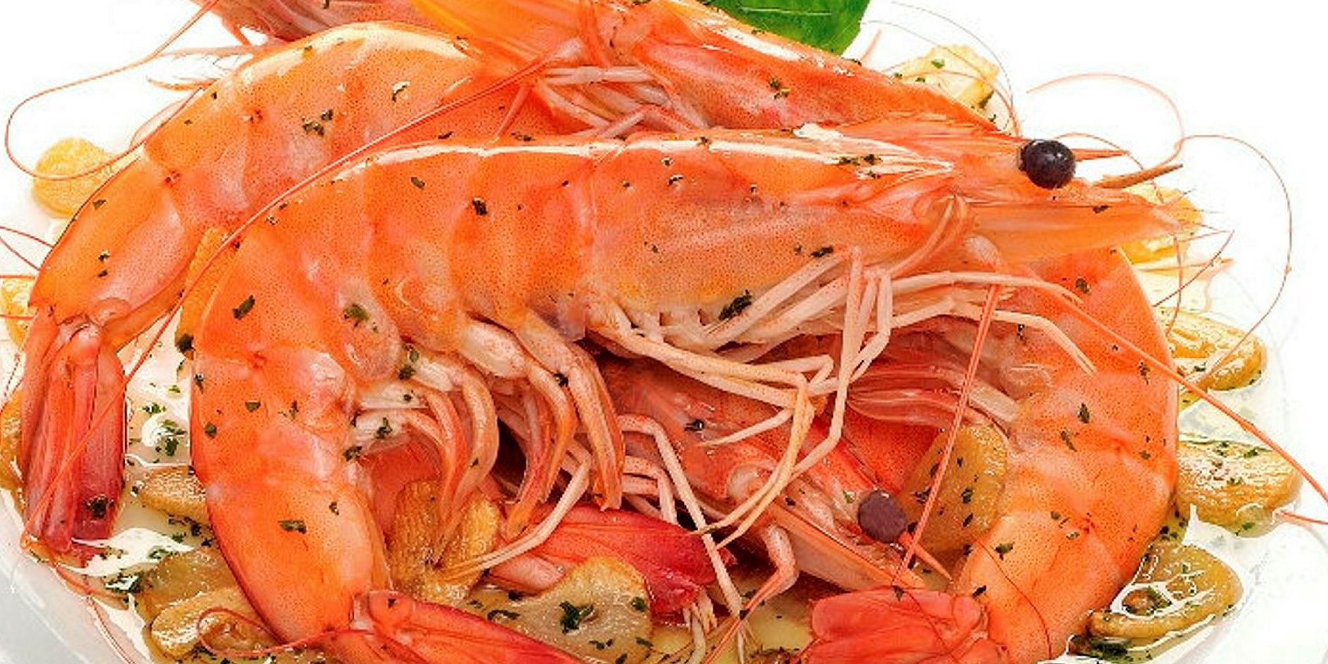 Ecuador shrimp production forecast to grow 10 in 2019