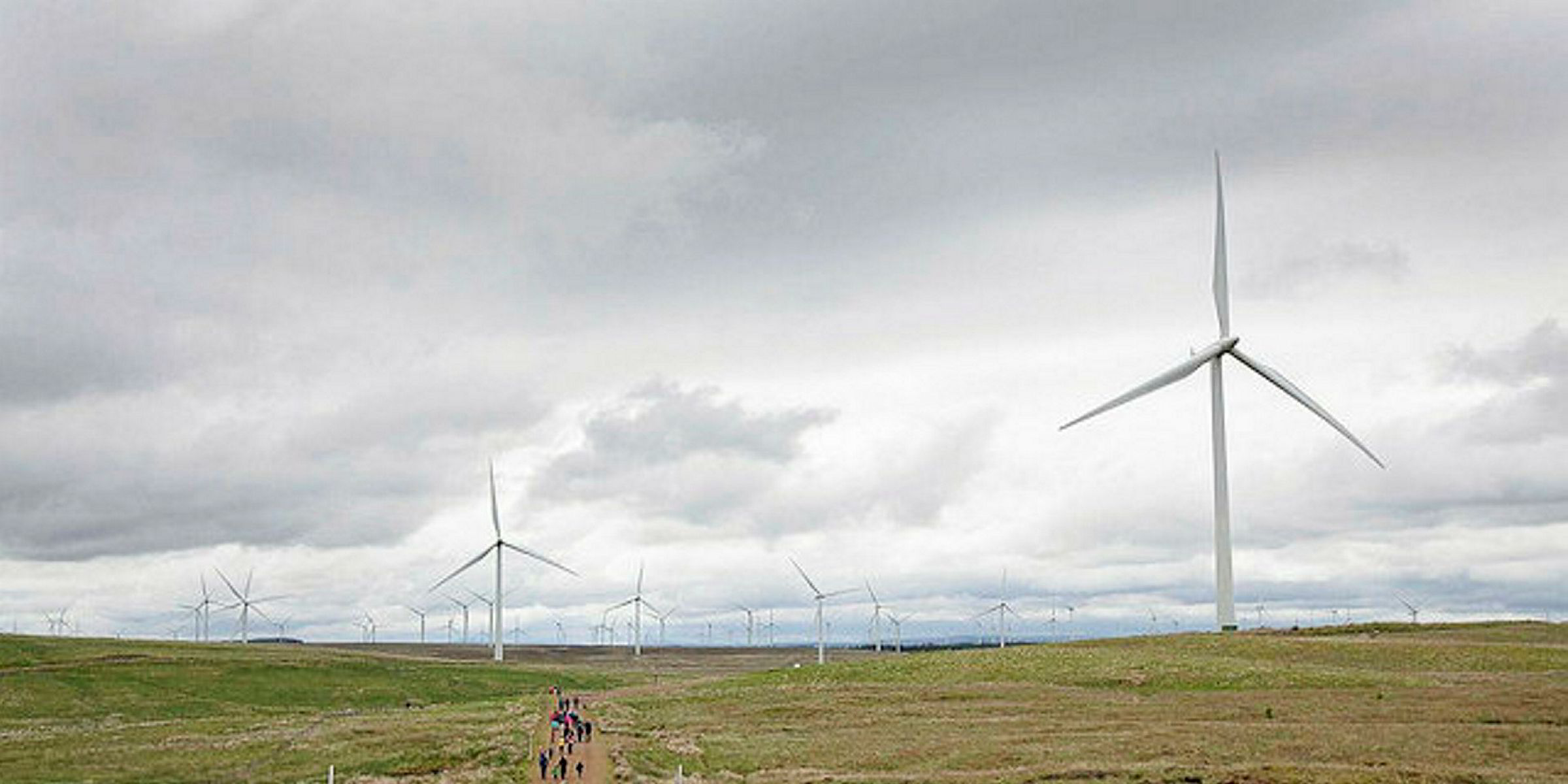 'Build Scottish onshore wind to power UK EVs' Iberdrola unit Recharge