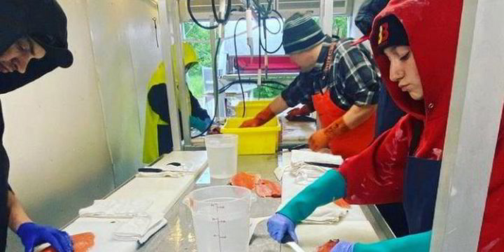 Alaska salmon LIVE UPDATES: Bristol Bay catch now 85% of preseason forecast - Vimarsana News
