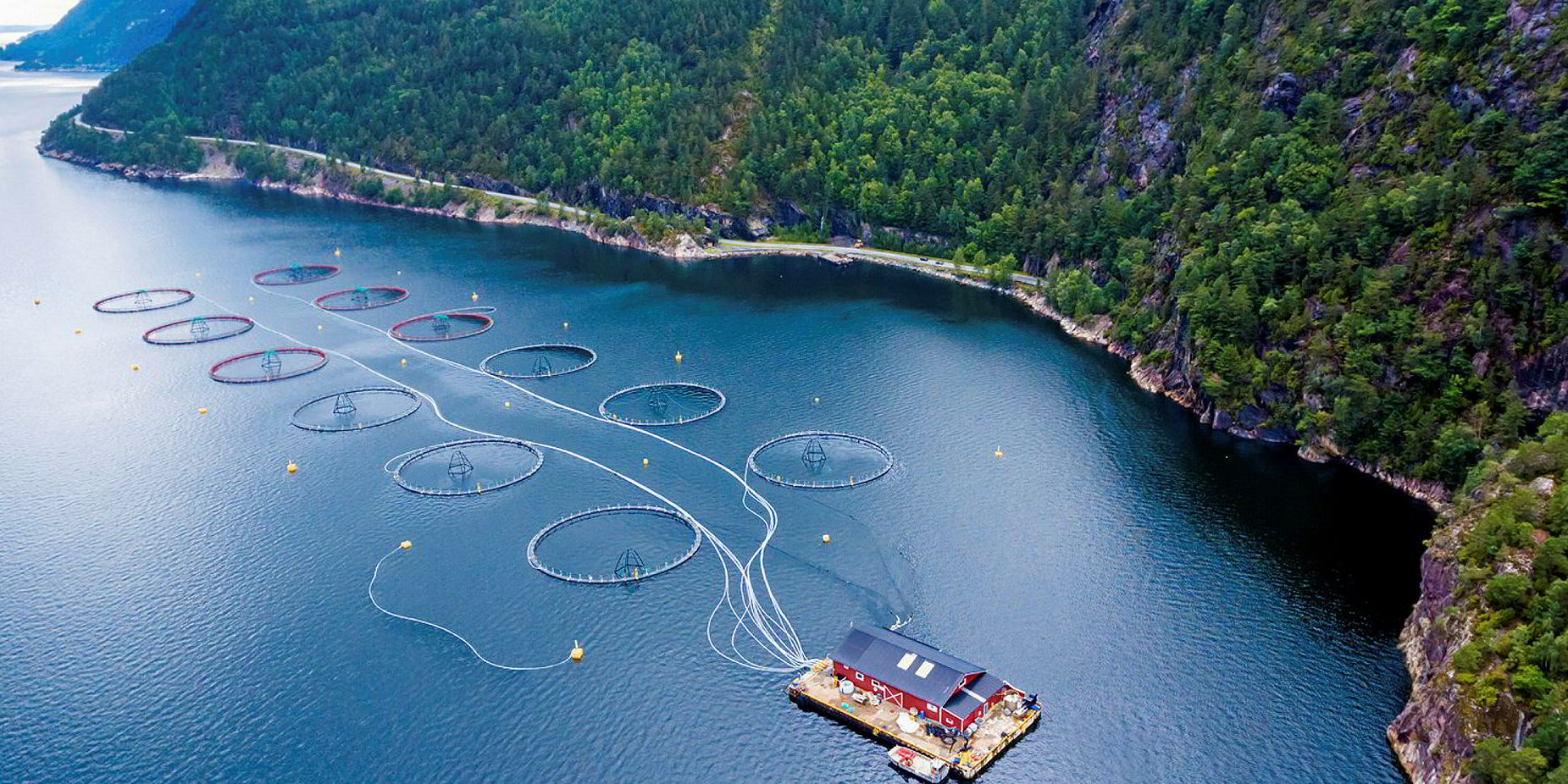 From the Archive December 2018 Norwegian salmon farming costs jumped 5