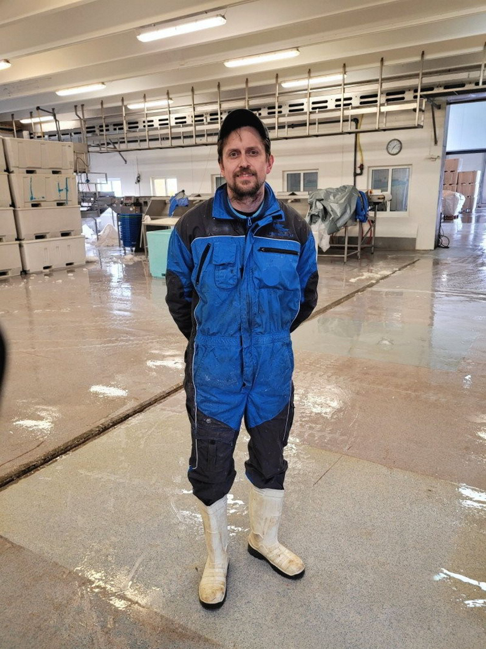 Hysebonanza i Vesterålen, skrei og velstand på Røst | Fiskeribladet