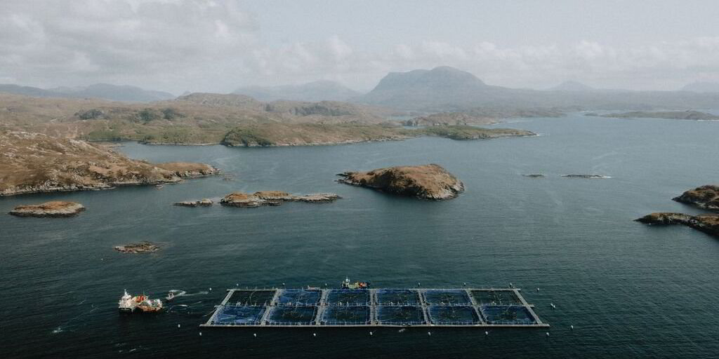 Scottish salmon producer launches bespoke farming standard