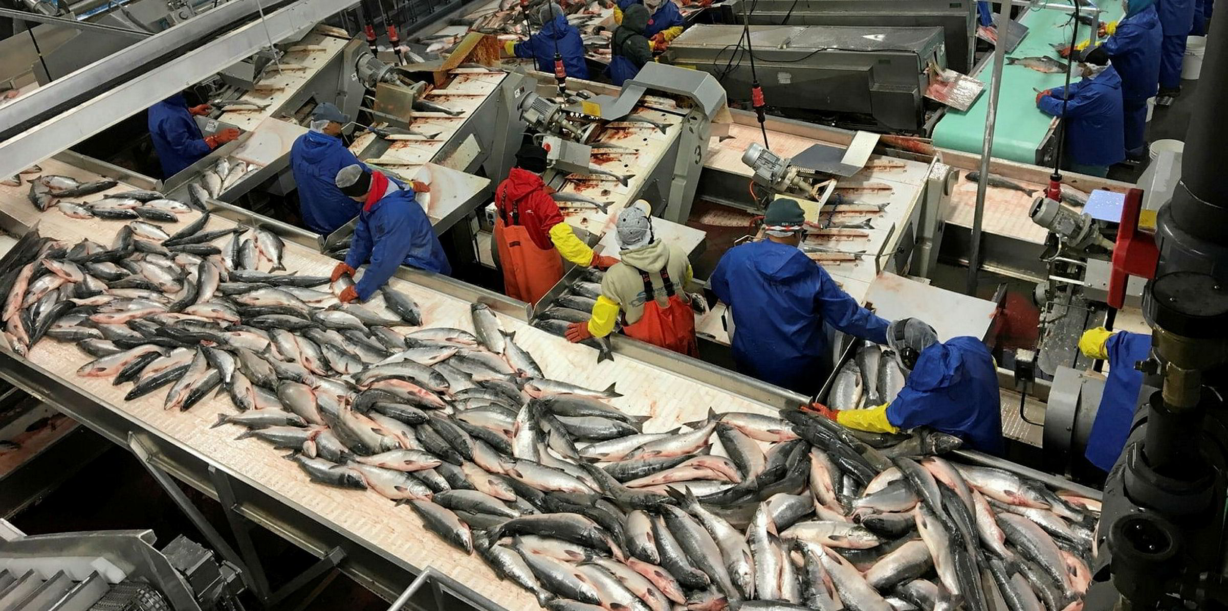 Silver Bay opening new Alaska processing plant | Intrafish