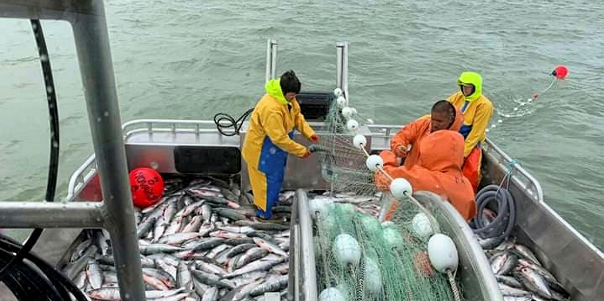 Alaska salmon LIVE UPDATES Bristol Bay sockeye harvests pick up, but