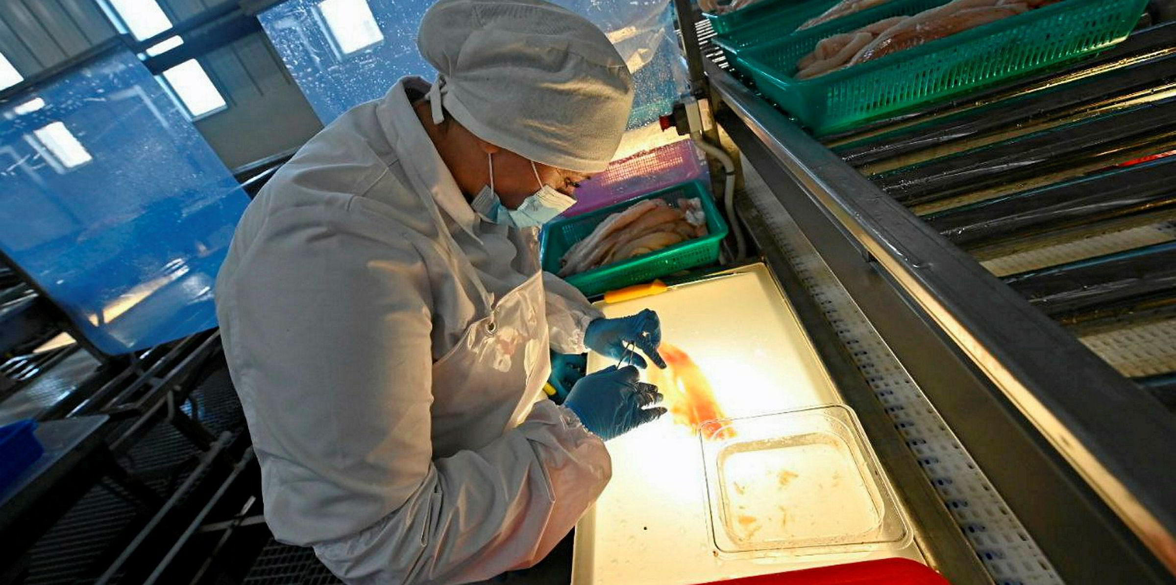 Russian Fishery Company's pollock surimi plans have potential to ...