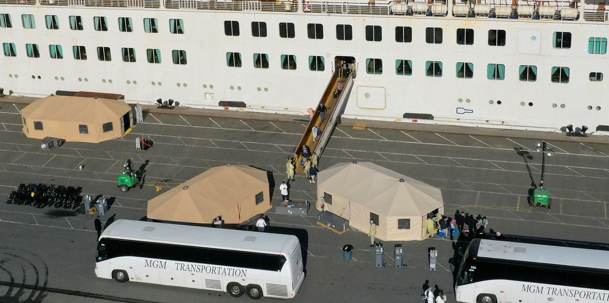 Princess Cruises and Viking suspend operations as pandemic punishes