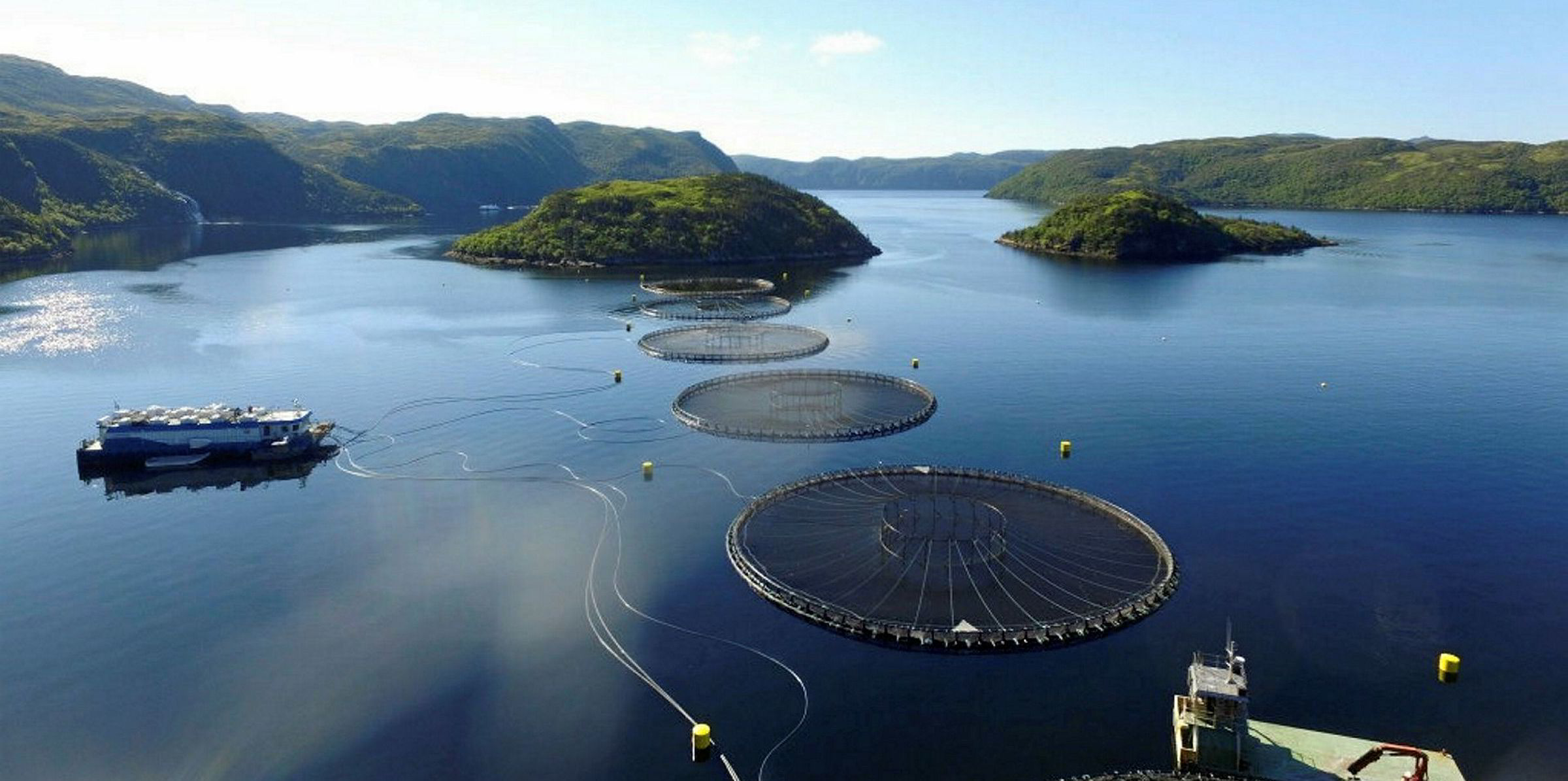 Cooke Aquaculture's New Brunswick salmon escape stirs fresh concern