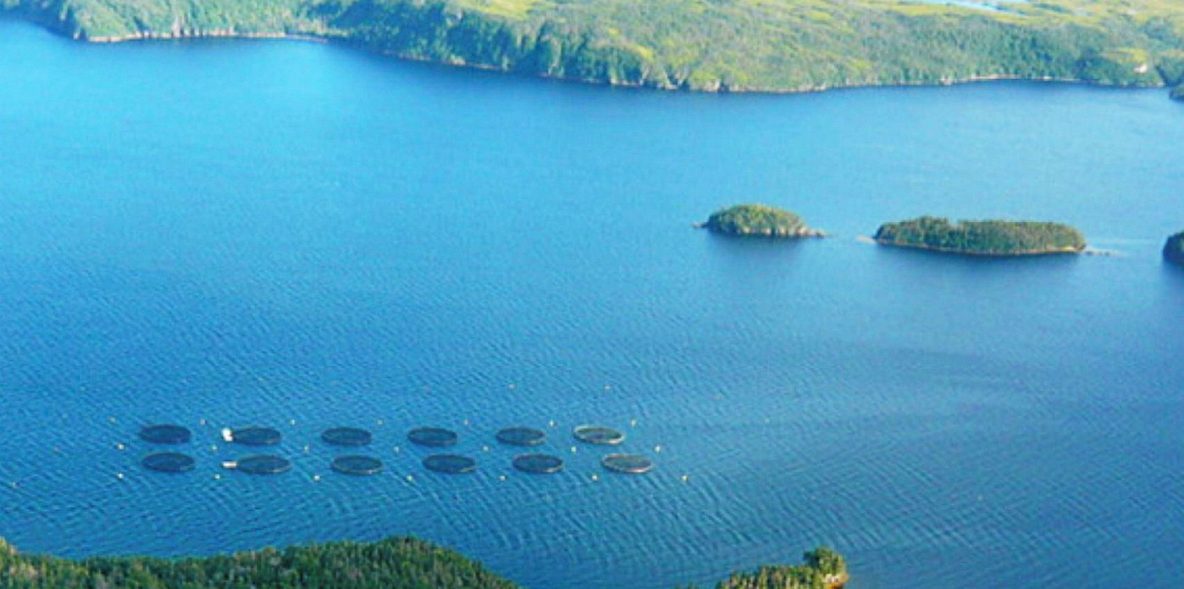 Northern Harvest planned salmon hatchery expansion under fire