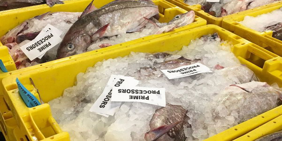 Fish buyers hold back orders amid Brexit disruption
