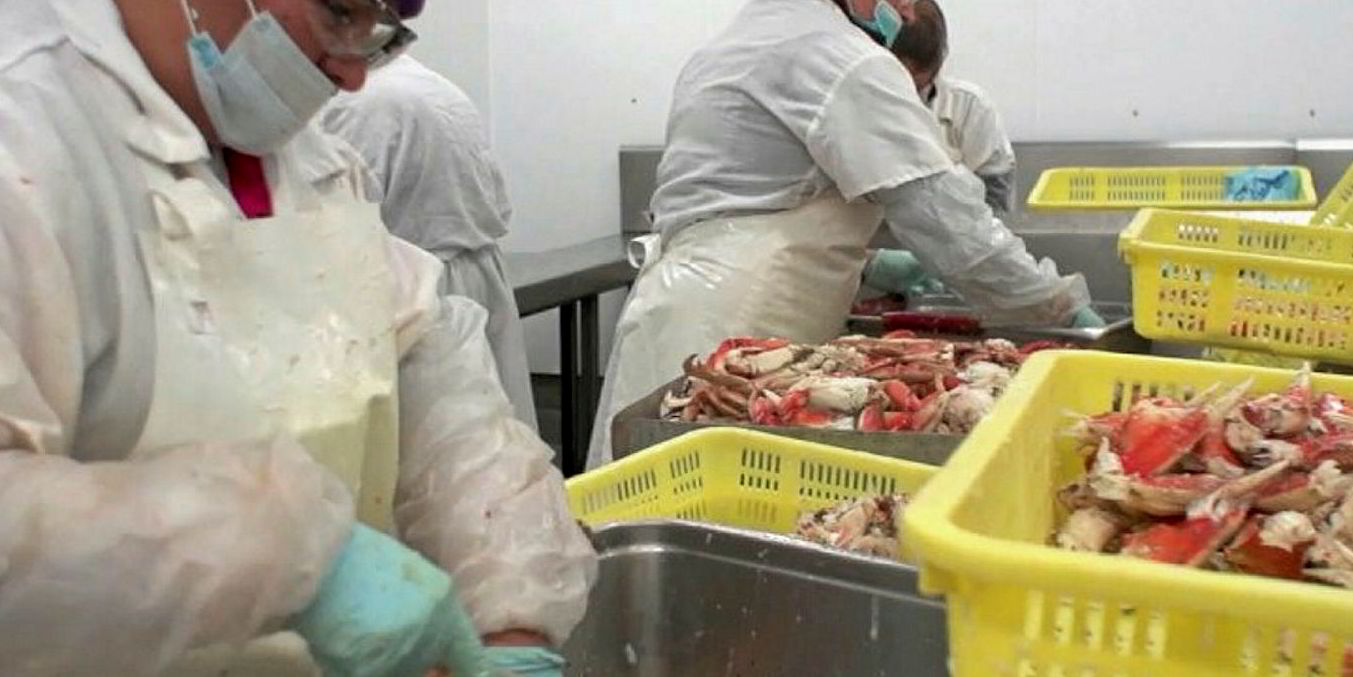 Pacific Seafood settles with EPA after surprise inspection found 2,100