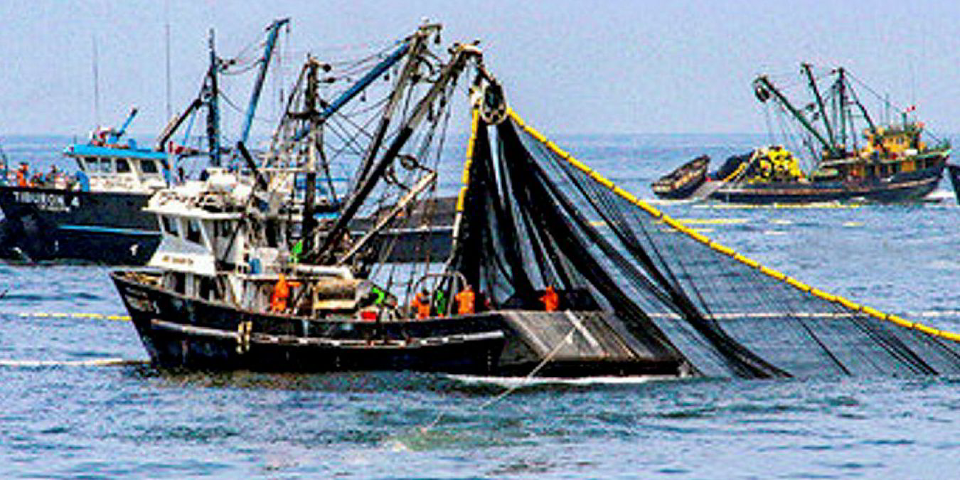 EU industrial tuna fishing boats reaching quota in a week is sign