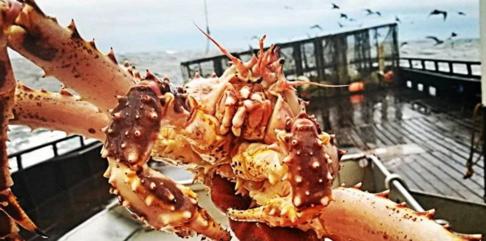 Update: US government omnibus bill includes $300 million to help Alaska  Bristol Bay red king crab, Bering Sea snow crab and other fishery disaster  areas