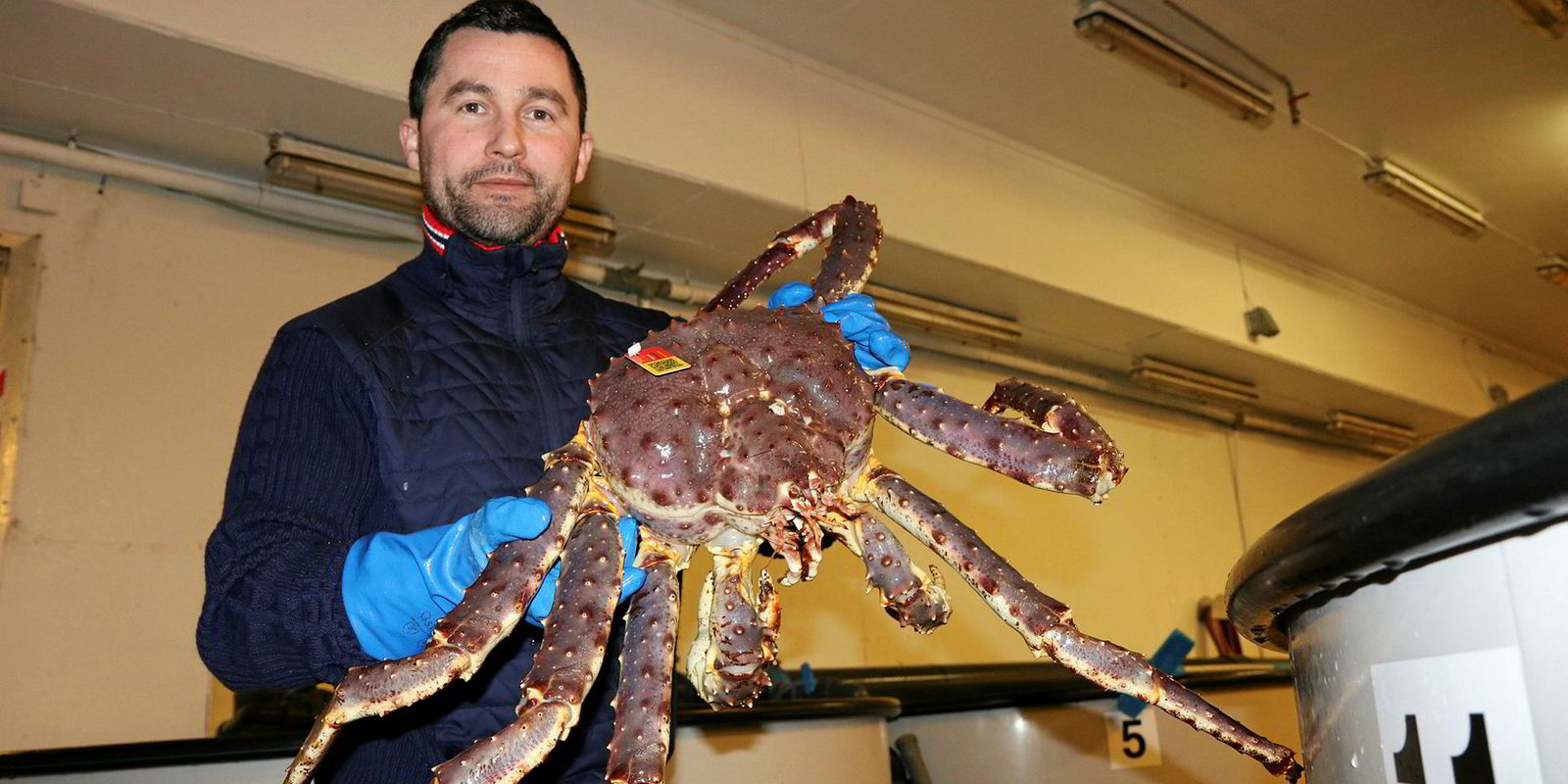 Russian red king crab fishery gets MSC stamp