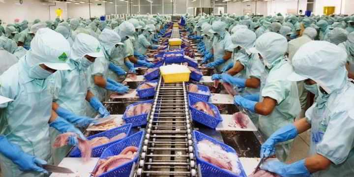 VASEP: Vietnam becoming Asia's new seafood processing hub | IntraFish.com