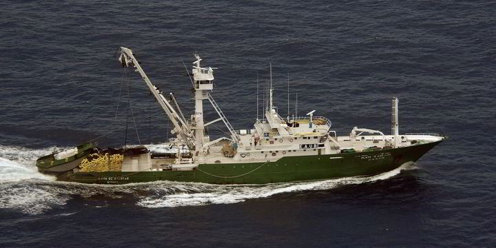 Management plan for food business image