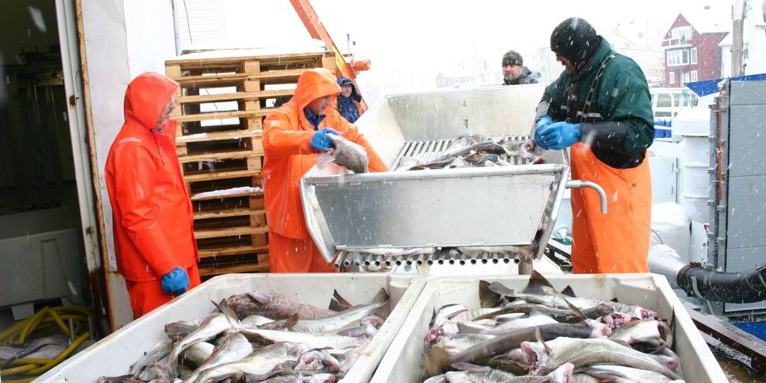 Norway sets new minimum prices for cod, haddock