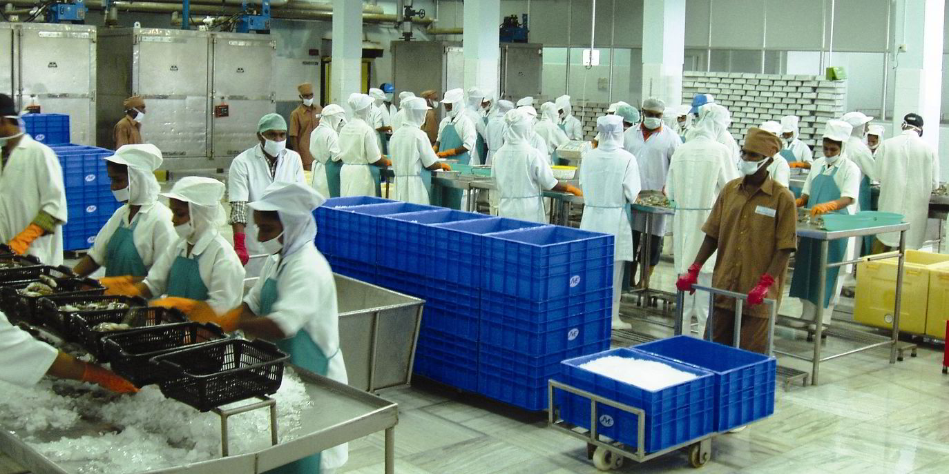 India seafood exports up 22