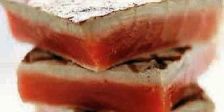Southern bluefin quota cut 20% | IntraFish.com