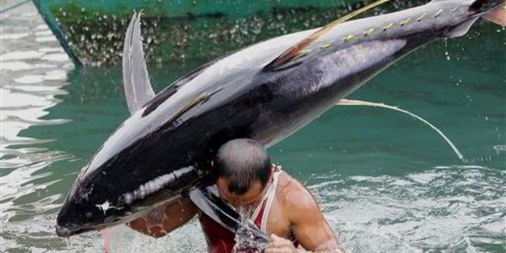 Filipinos disagree on tuna ban