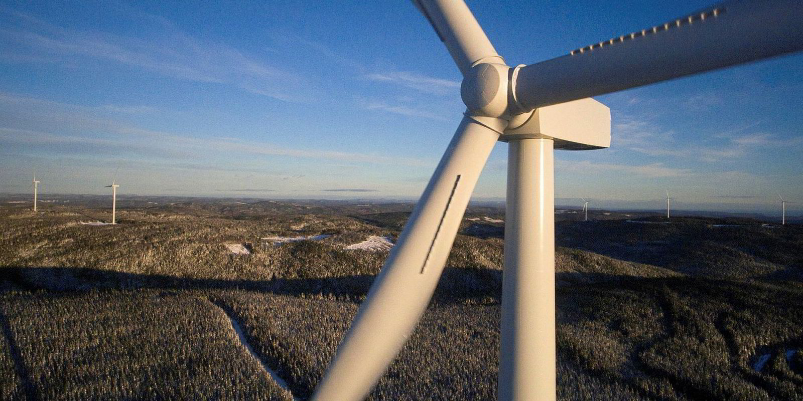 'At Senvion we see ourselves as the capable underdog’ | Recharge