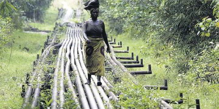 Shell tackles Nigeria gas pipeline leak | Upstream Online