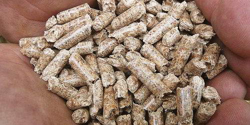 New England to meet rising wood pellet demand with new plant | Recharge