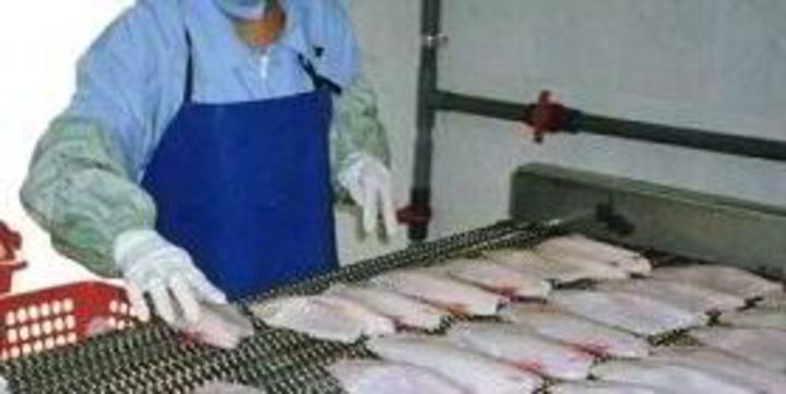 Is tilapia bad for you? Some say maybe | IntraFish.com