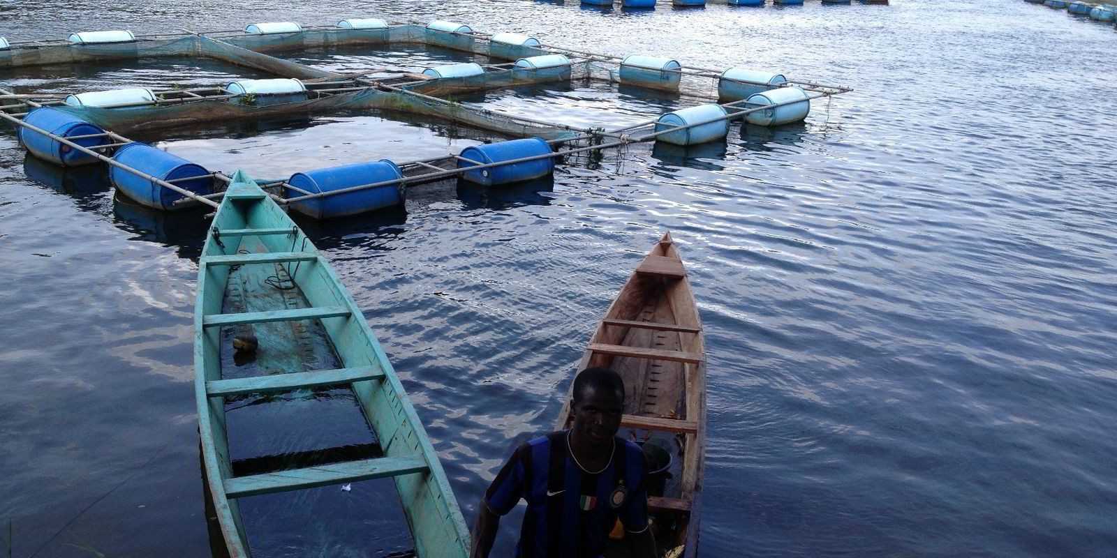 lake volta fish