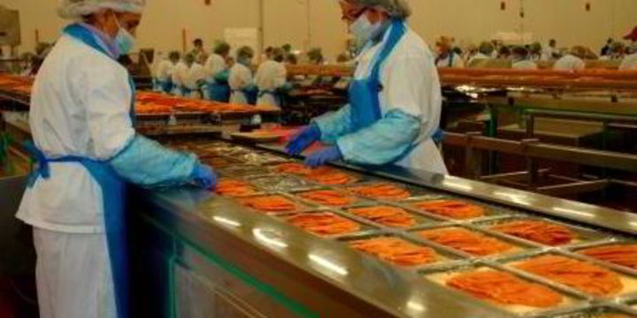 Morpol: continued supremacy | IntraFish.com