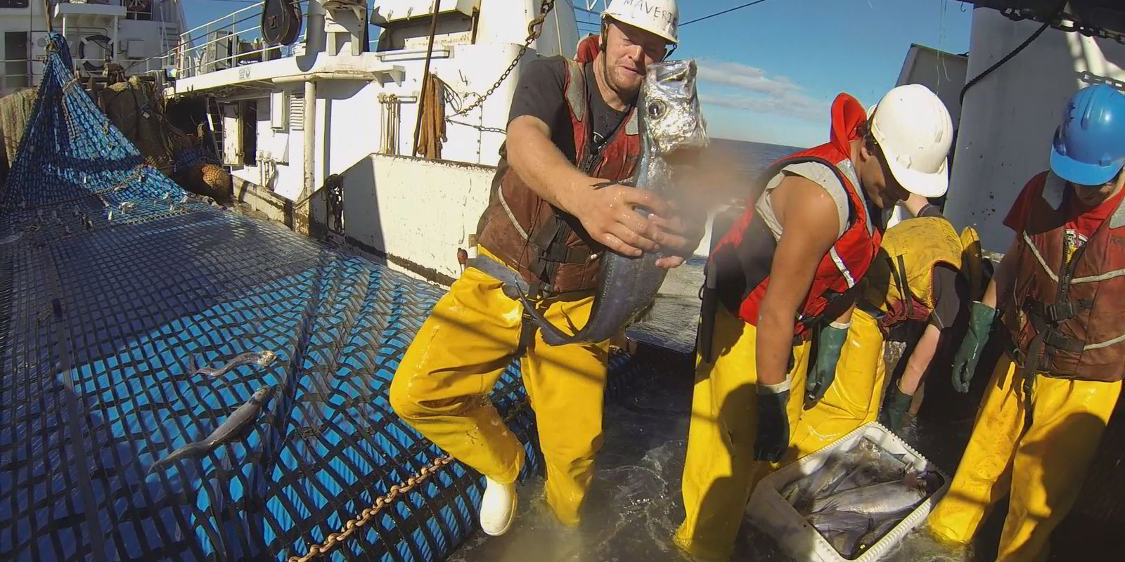 New Zealand seafood industry reacts to fresh sustainability criticism