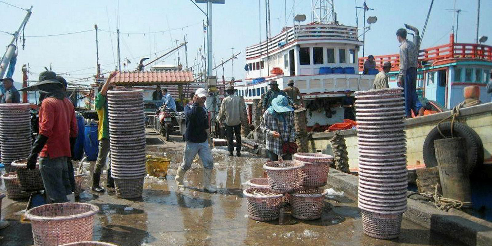 Walmart holds sustainable seafood summit with suppliers, NGOs