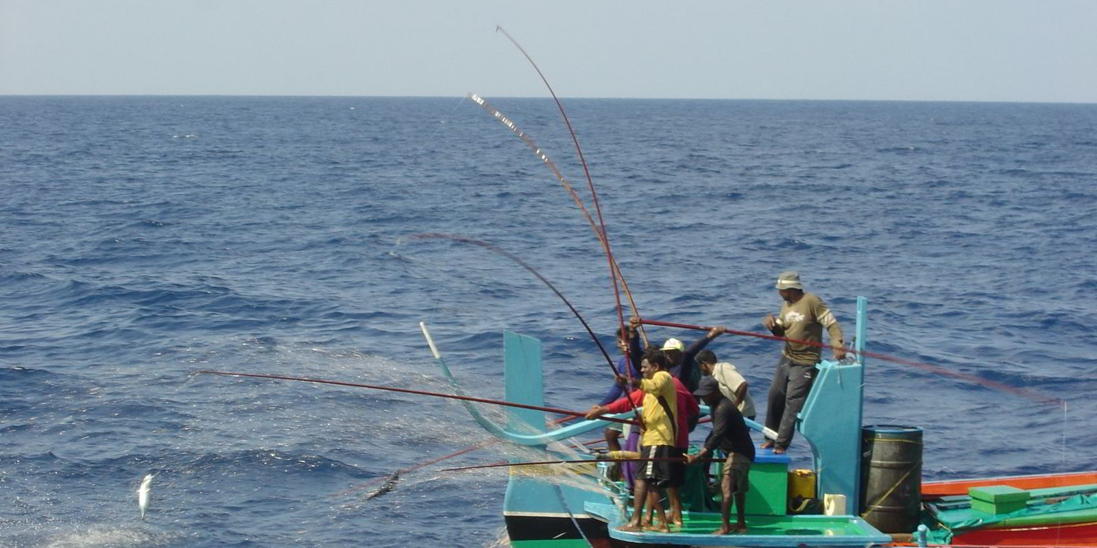Updated: Maldives pole-and-line skipjack tuna achieves MSC