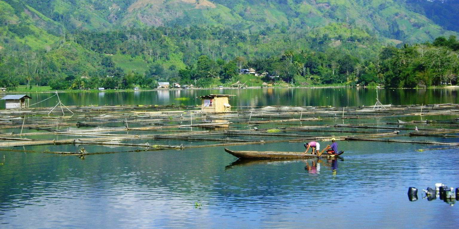 Aquaculture banned in Philippines lake after second massive fish
