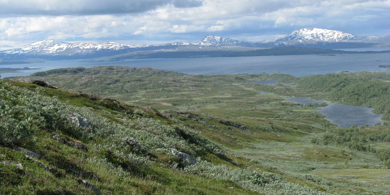 2,3 TWh konsesjonsfri kraft i Nordland | Europower